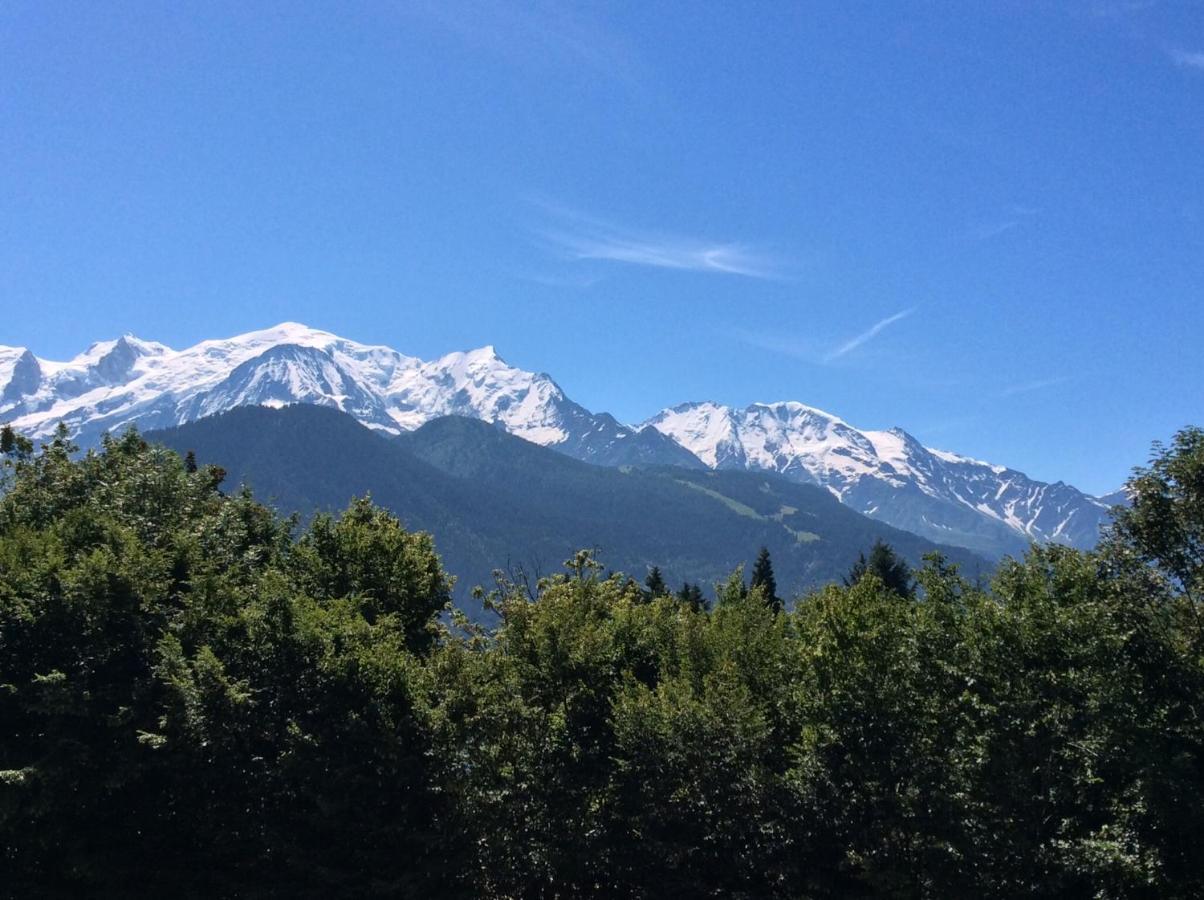 Fizhome Mt Blanc 파시 외부 사진