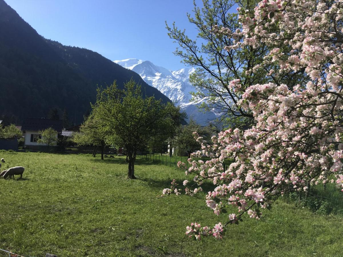 Fizhome Mt Blanc 파시 외부 사진